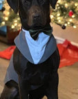 Coordinated velvet wedding bow tie accessories